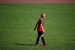 详细阅读:九游娱乐app-俱乐部青训选拔日活动吸引众多有潜力少年参与,足球青训俱乐部招生宣传 九游娱乐app-俱乐部青训选拔日活动吸引众多有潜力少年参与,足球青训俱乐部招生宣传